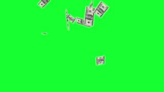 Money Falling Gif Green Screen Free animated gifs free gif animations