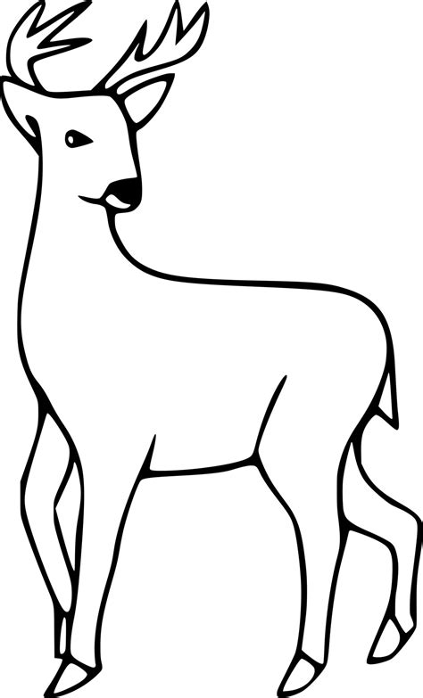 Easy White Tailed Deer Coloring Pages - Coloring Cool