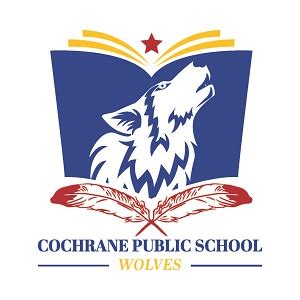 Cochrane Public School uses Zoom to finally honour its Grade 8 class of 2020 - My Cochrane Now