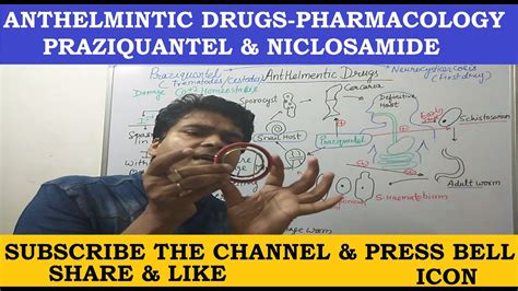 Mechanism Of Action Of Anthelmintic Drugs