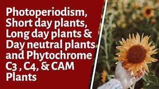 Photoperiodism, Short day plants, Long day plants & Day neutral plants and Phytochrome || C3 ...