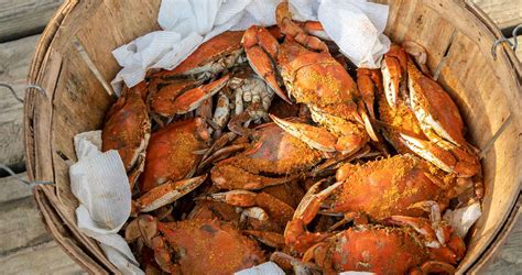 Maryland Seafood Festival and the World’s Largest Crab Feast