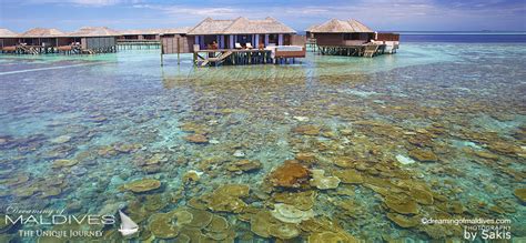 Lily Beach Maldives Resort & Spa Maldives All Inclusive Resort PHOTO GALLERY