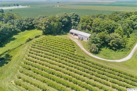 Illinois Winery; Vineyard For Sale - Turn-Key Business - VineSmart