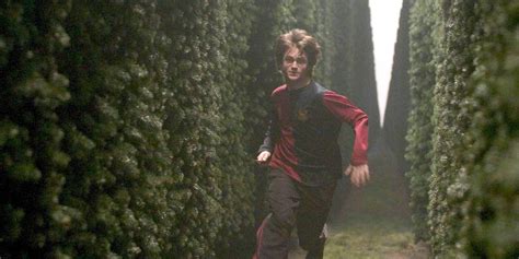 Harry Potter: The Triwizard Tournament, Explained