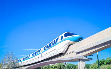 Walt Disney World Monorail Transportation: Everything You Need To Know ...