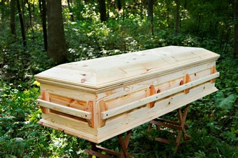 Homemade Casket Designs PDF Woodworking | Wood casket, Casket, Funeral caskets