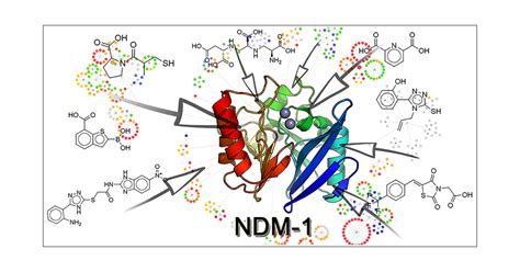 Ten Years with New Delhi Metallo-β-lactamase-1 (NDM-1): From Structural Insights to Inhibitor ...