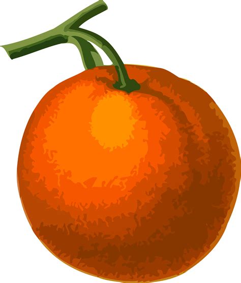 Clipart - Orange (low resolution)