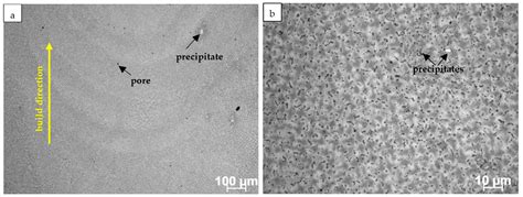 Inconel 625 Microstructure