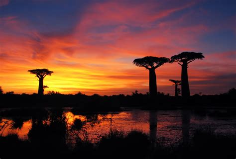 #Sonnenuntergang auf #Madagaskar #Sunset, #Madagascar © Bernard Gagnon | Sunset, Places to go ...