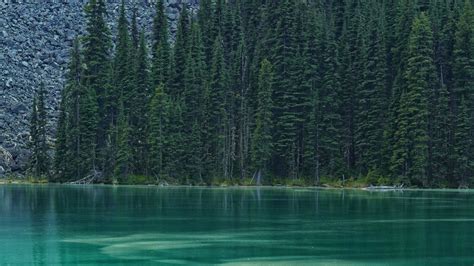 Download wallpaper 3840x2160 lake, forest, trees, stones 4k uhd 16:9 hd background