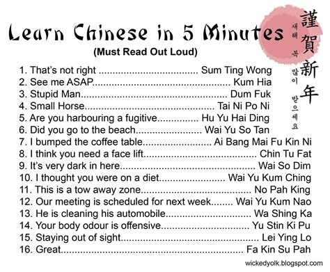 Learn Chinese in 5 Minutes! : r/funny