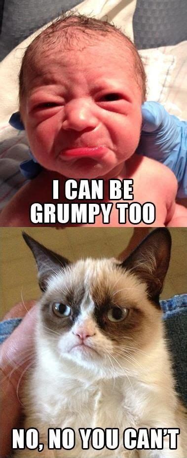 Pin by Brenda B. DuBard on Grumpy Cat | Funny babies, Grumpy cat, Grumpy cat quotes