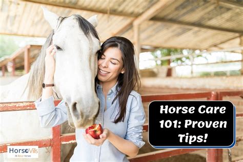 HORSE Care 101: Proven Tips for Handling and Loving Them