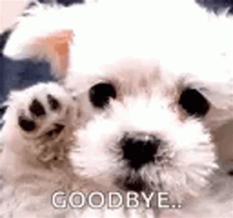 Goodbye Friend GIF - Goodbye Friend Dog - Discover & Share GIFs