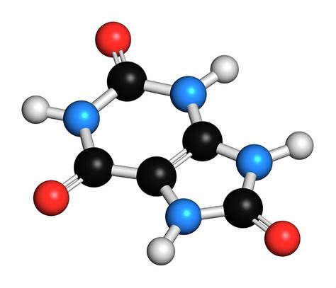 Uric Acid Molecule Photograph by Molekuul/science Photo Library | Fine Art America