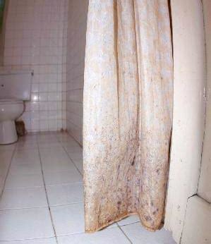 best mold resistant shower curtain liner