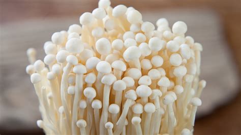 ARCHAEOLOGY OF MUSHROOMS - Enoki - Chef's Mandala