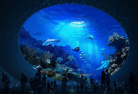 Now that's a shark tank! Seattle approves $34 million toward new ...