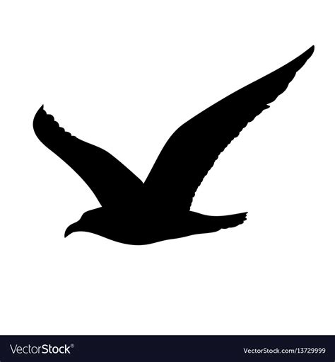 Flying seagull silhouette concept Royalty Free Vector Image