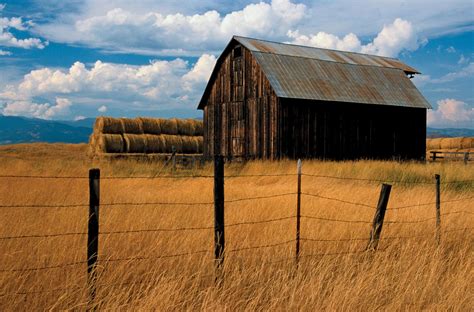 Barn | Grain Storage, Livestock Shelter & Hay Storage | Britannica