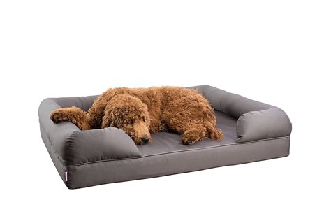 Top 10 Extra Large Dog Beds With Memory Foam