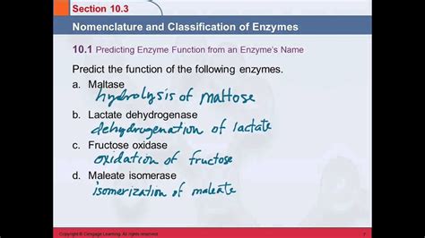 3B 10.3 Nomenclature & Classification of Enzymes - YouTube