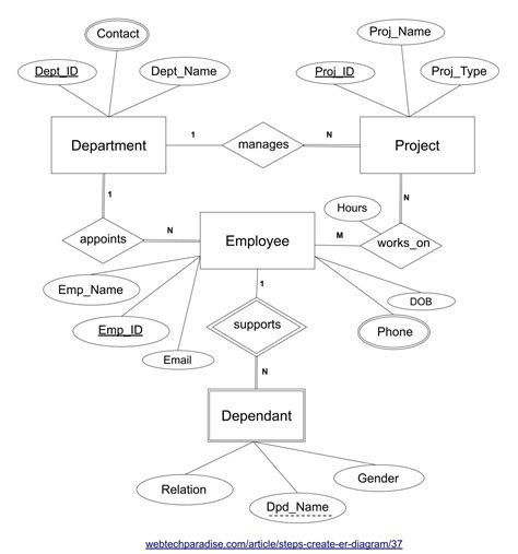 Create ER Diagram