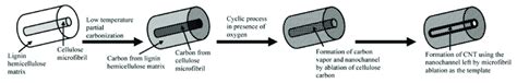 Mechanism of CNT synthesis directly from cellulose microfibrils adapted... | Download Scientific ...