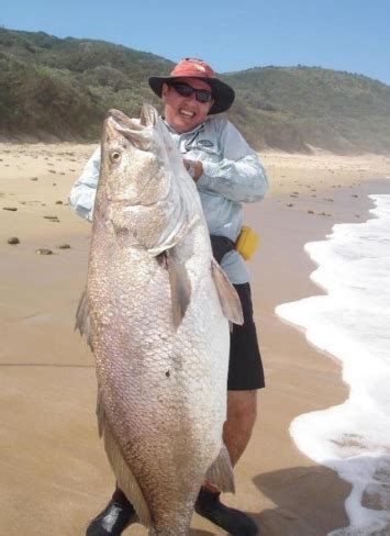 Big Fishes of the World: KOB (Argyrosomus hololepidotus)