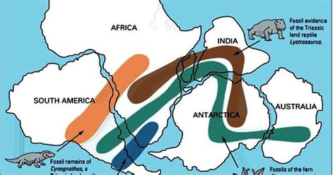 Geology, Biology Agree on Pangaea Supercontinent Breakup Dates