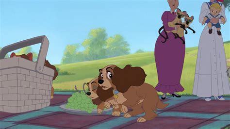 Image - Lady-tramp-2-disneyscreencaps.com-5459.jpg | Heroes Wiki | FANDOM powered by Wikia