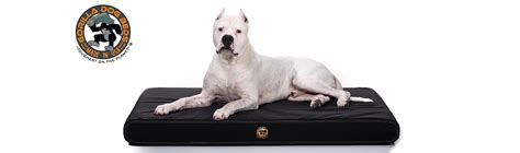 Chew-Proof Dog Beds | Tear-Resistant Dog Beds for Sale