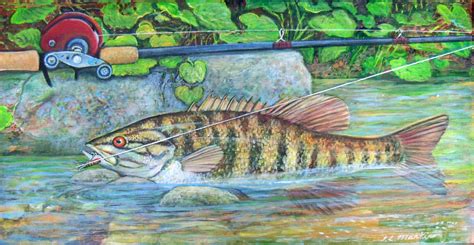 Smallmouth Bass | Painting, Still life painting, Art