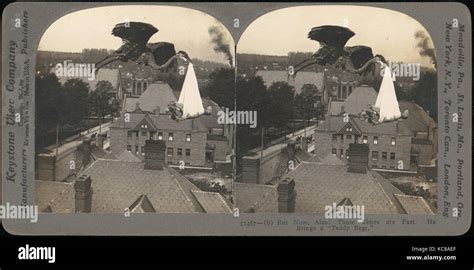 Group of 107 Stereograph Views of Animals, George Barker, 1850s–1910s Stock Photo - Alamy