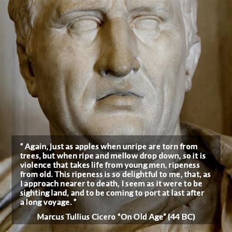 Marcus Tullius Cicero Quotes - Kwize