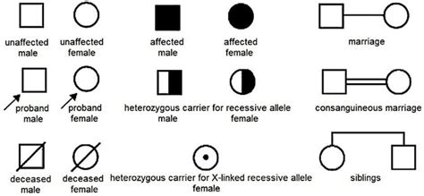 Genetic Pedigree Symbols