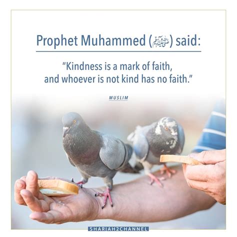 Kindness Quotes Islam