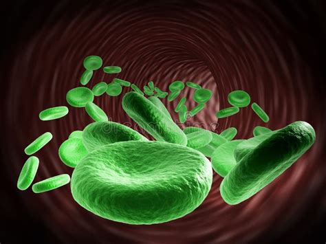 Blood Cells Flowing Green Version Stock Illustration - Illustration of germ, blood: 40423898