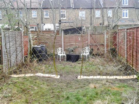 Low-impact & the city 6: how we got ourselves a living willow ‘fedge’ (half-fence, half-hedge)