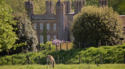 Marwell Zoo Tours - Book Now | Expedia