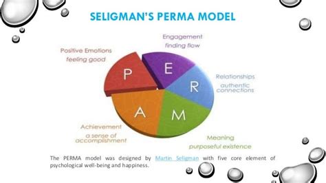 Seligman’s perma model of subjective well being