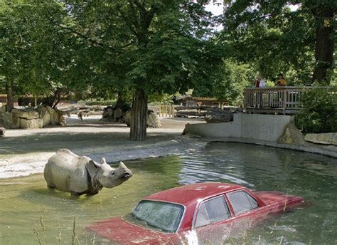 Pruned: A Zoo in Vienna