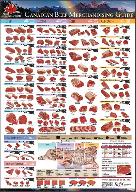 Primal, Sub-primal, and Secondary Cuts – Meat Cutting and Processing for Food Service