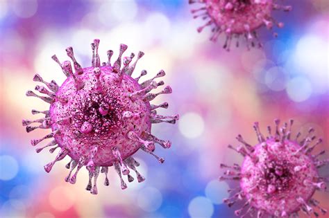 The human cytomegalovirus: a forgotten herpesvirus