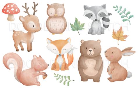 Woodland Animal Watercolor Illustrations By Doodle Art | TheHungryJPEG