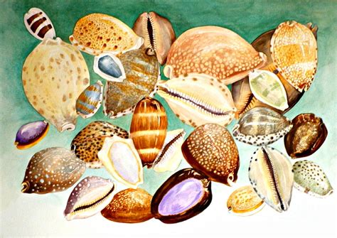 Cowrie Shells Painting by Janet Summers-Tembeli