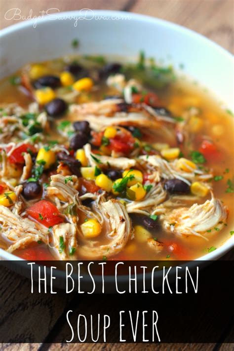 The BEST Chicken Soup Ever Recipe | Just A Pinch Recipes