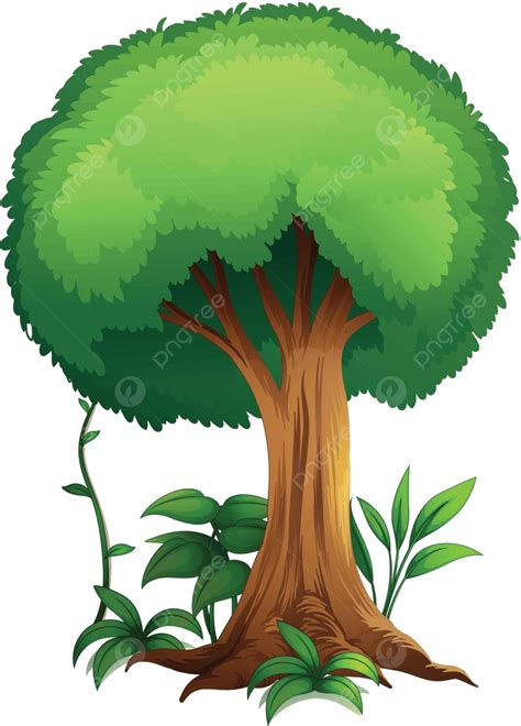 A Tree Illustration Tall Big Vector, Illustration, Tall, Big PNG and Vector with Transparent ...